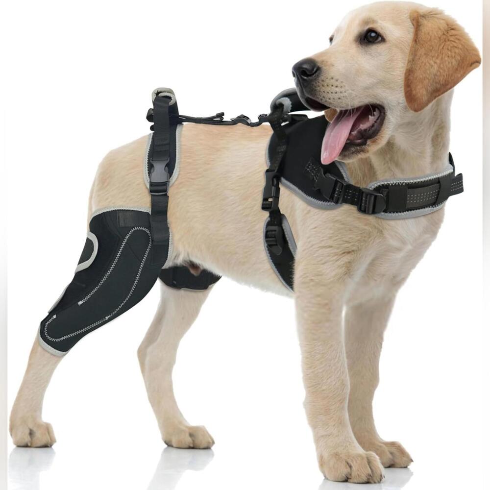NIB LISPOO Right Leg Upgraded Dog Knee Brace for Torn ACL/CCL, Size XL